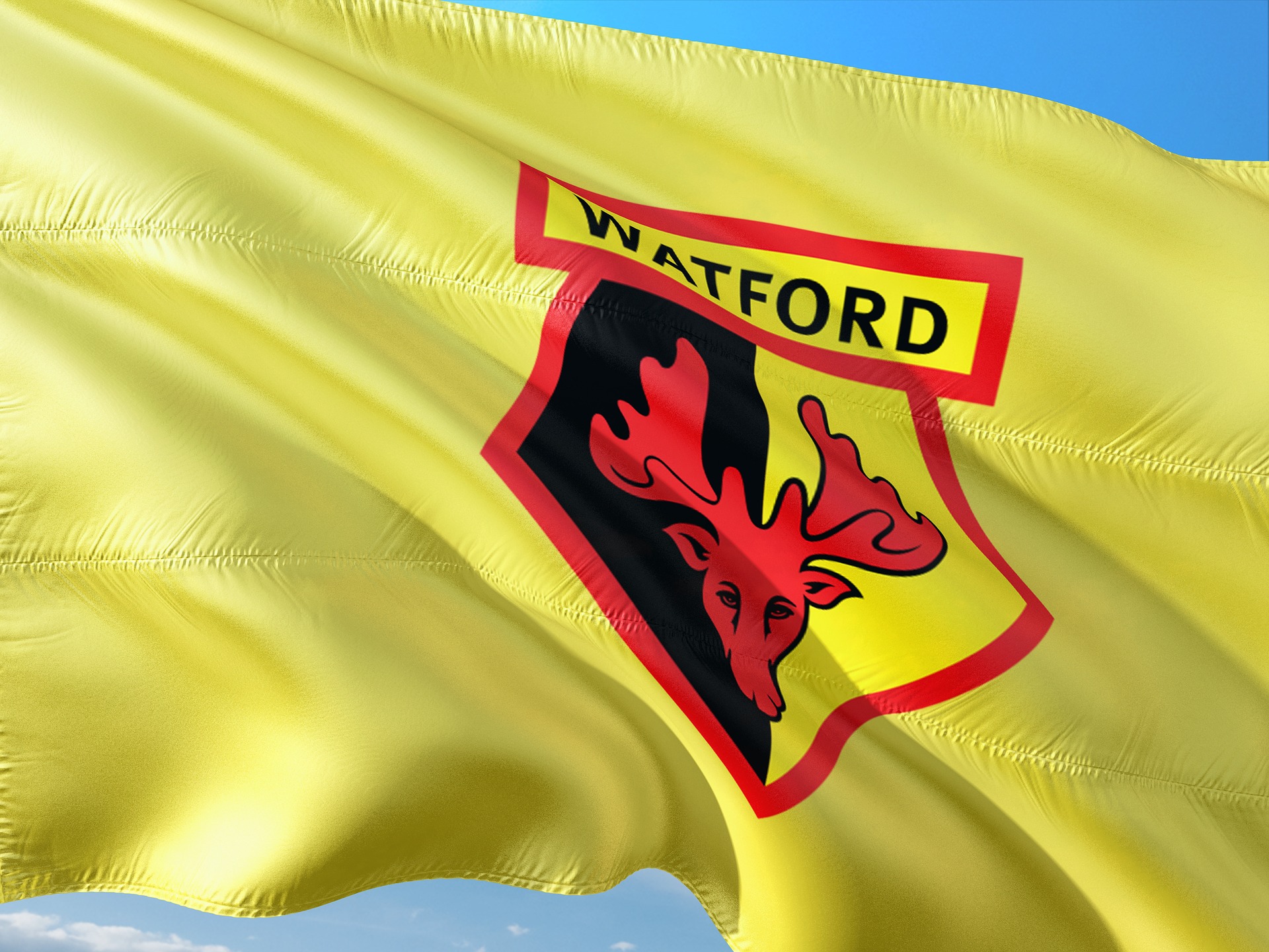About Your Watford Udinese Web Story 2020